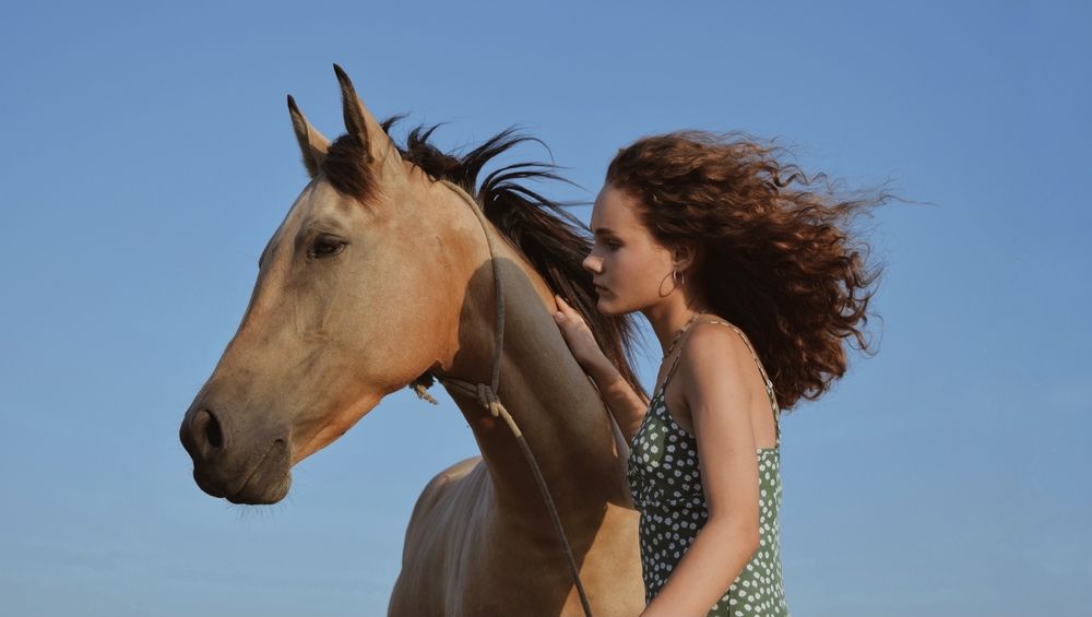 Фотография автора Алиса Дресвянникова