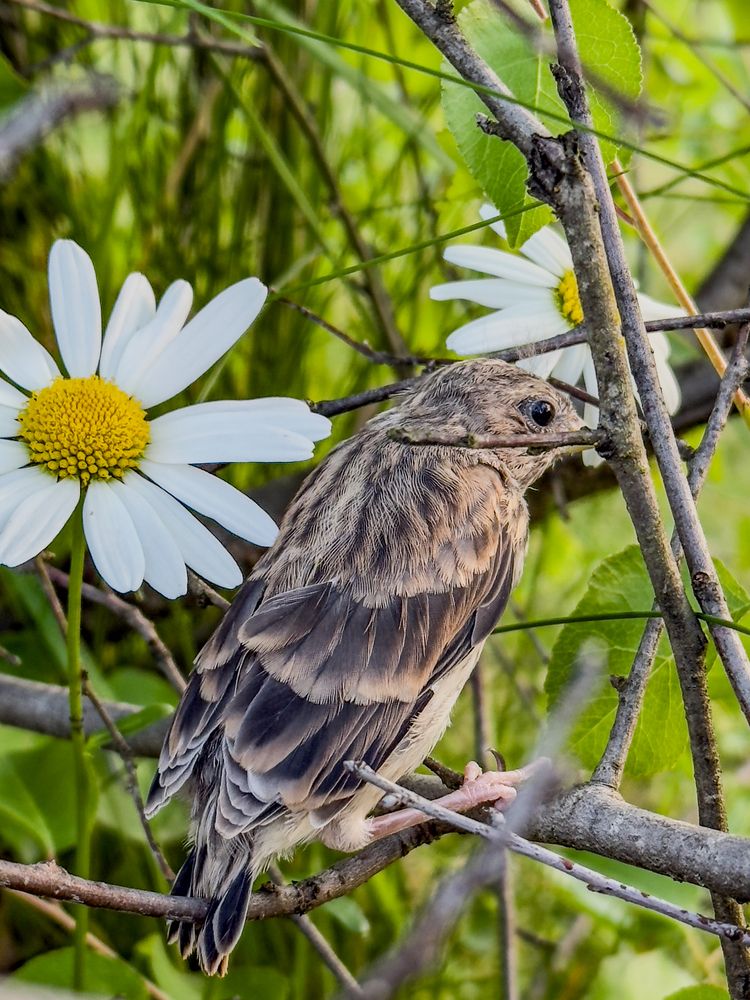 Photograph by Ekaterina Slepneva