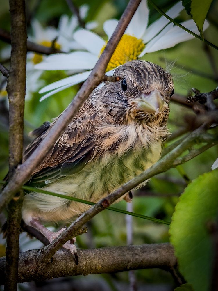 Photograph by Ekaterina Slepneva