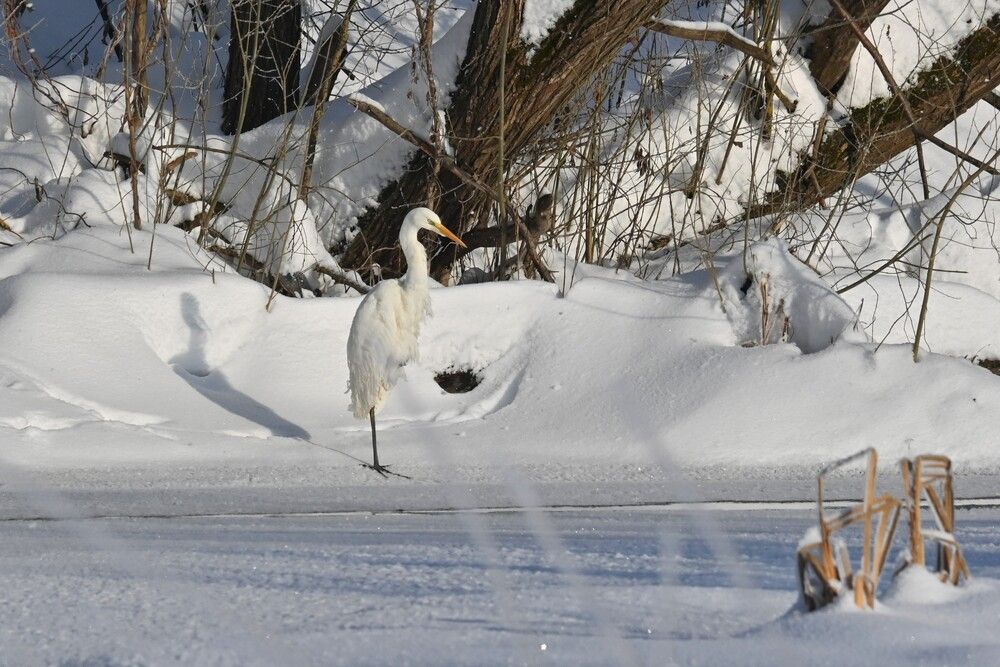 Photograph by IRINA FILIPPOVA
