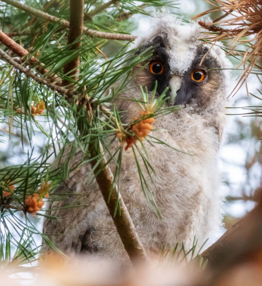 Photograph by Олег Чернышев