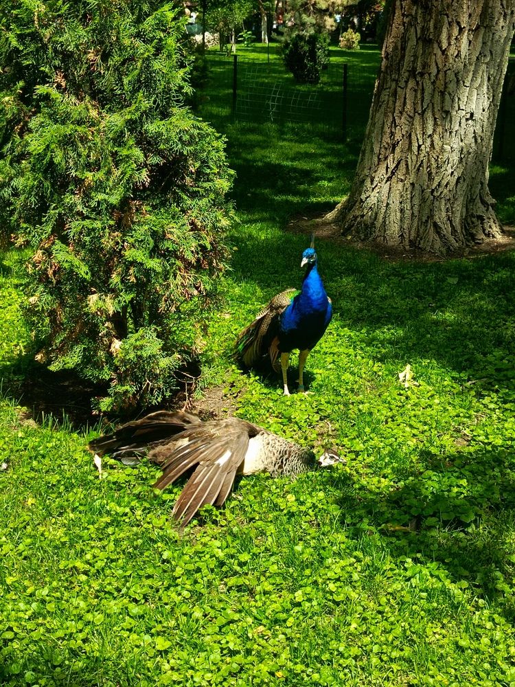 Фотография автора Татьяна Пальчикова