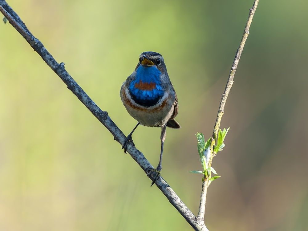 Photograph by Вадим Басов