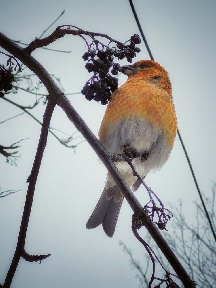 Photograph by Сергей Назаредский