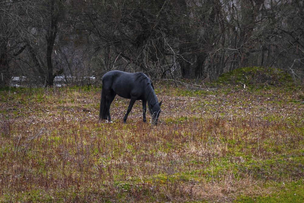 Photograph by Виталий Шкадинов