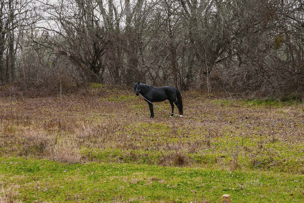 Photograph by Виталий Шкадинов