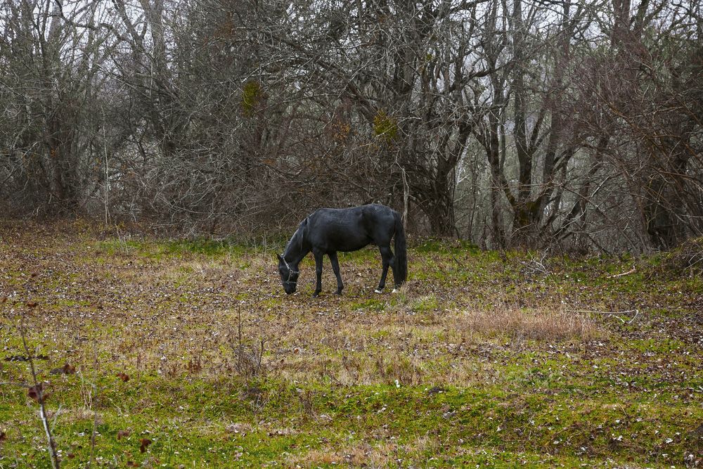 Photograph by Виталий Шкадинов