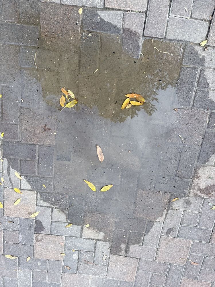 Photograph by Olga Berlyand