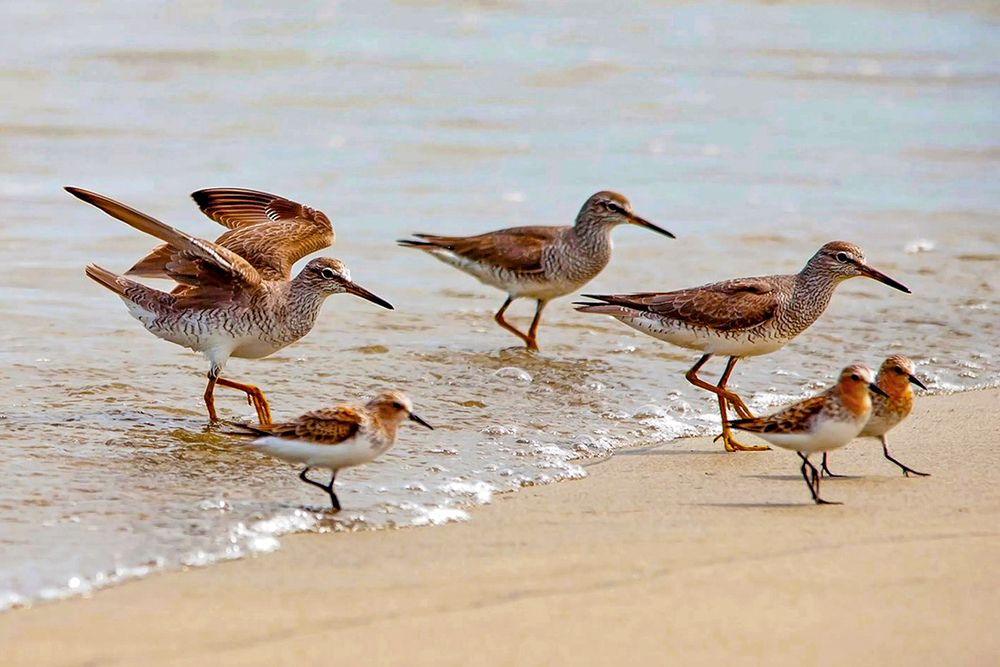 Photograph by Hà Thạnh