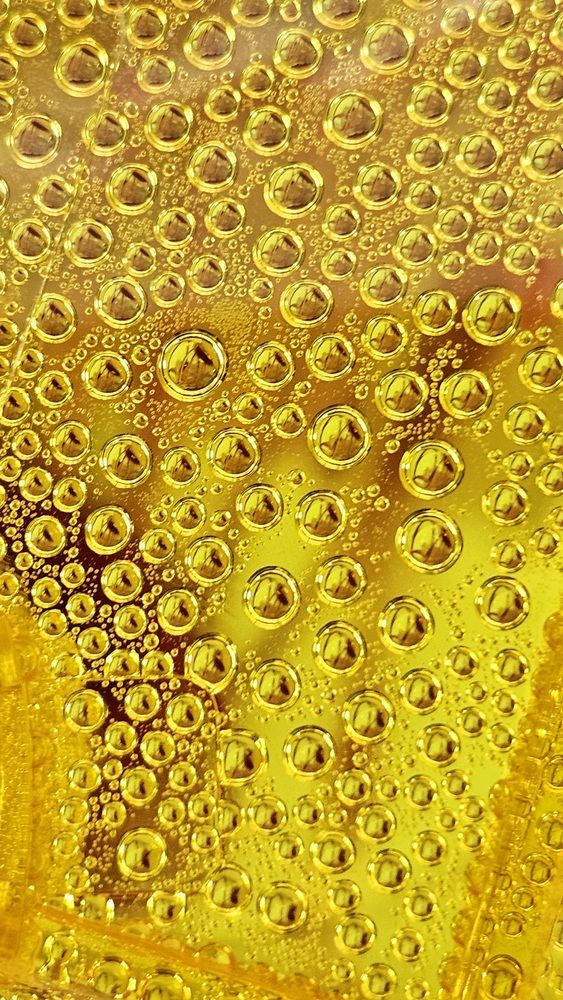 Фотография автора Elena Polonetskaya