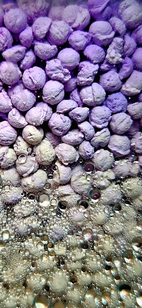 Фотография автора Elena Polonetskaya