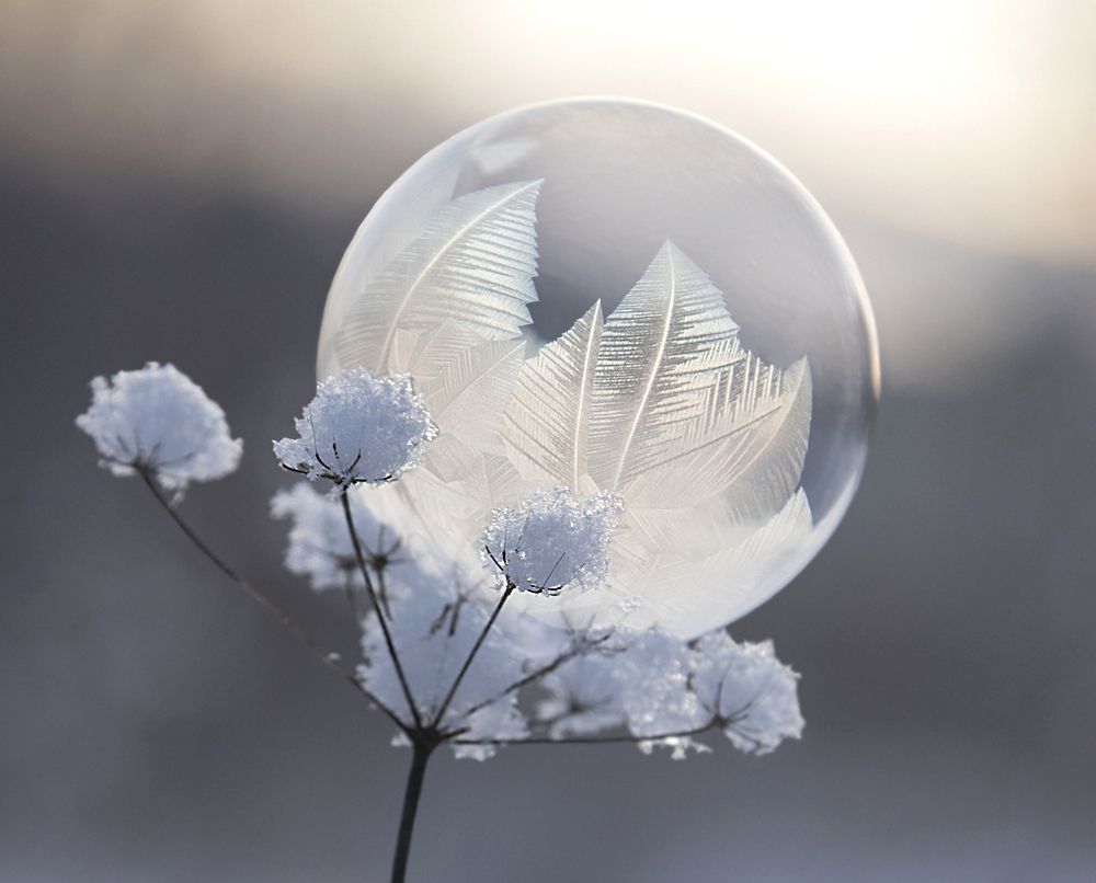 Фотография автора Andrey Pristyazhnyuk