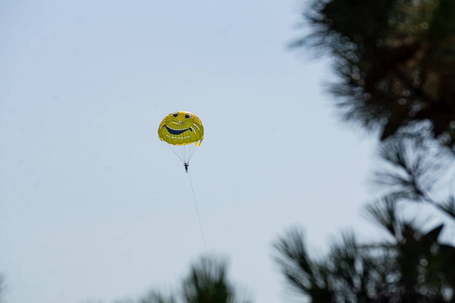 Фотография #13108102