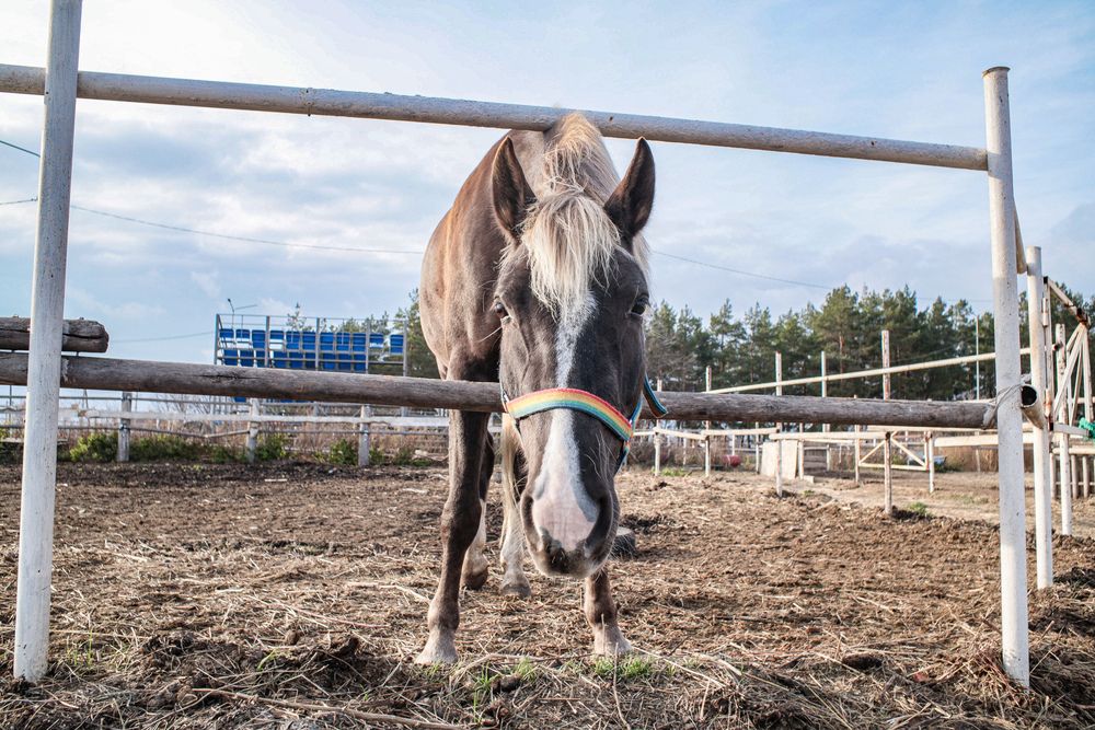 Фотография автора Алина Быстрова