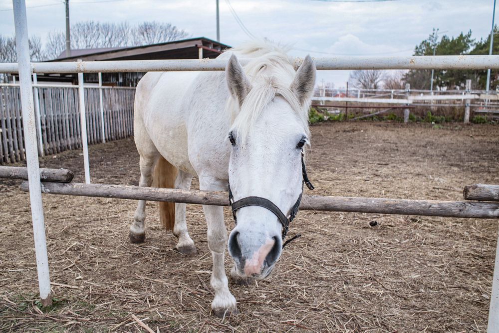 Фотография автора Алина Быстрова