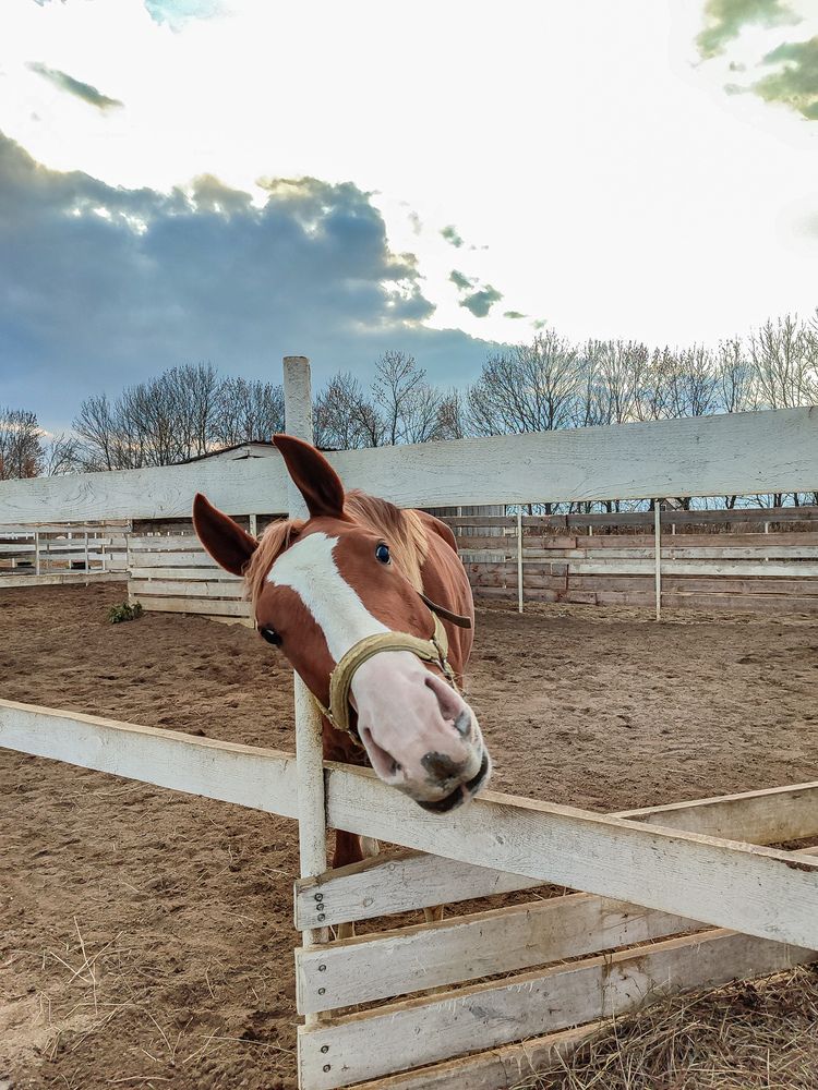 Фотография автора Алина Быстрова