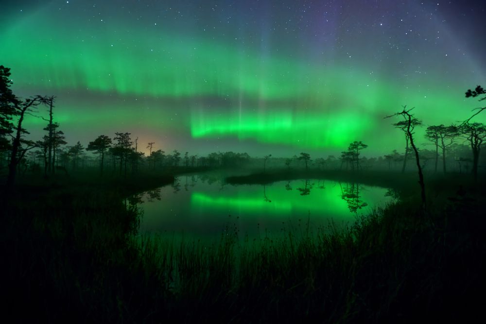 Photograph by Чехонин Александр