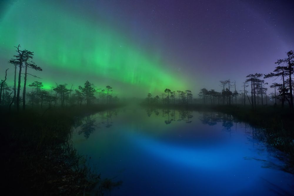Photograph by Чехонин Александр