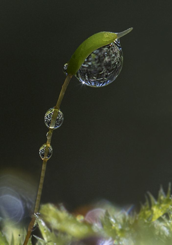 Фотография автора Andrey Pristyazhnyuk