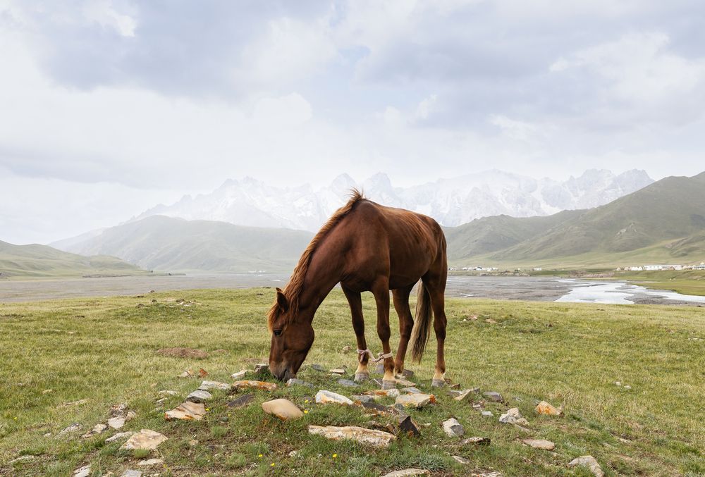 Photograph by Татьяна Михалевская