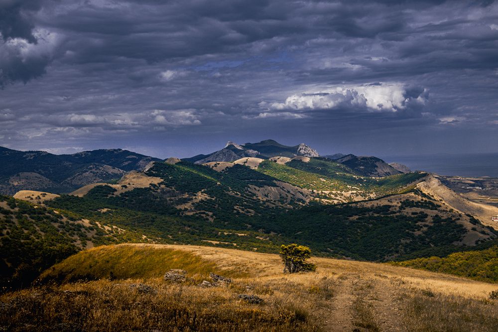 Photograph by Настя Салтыкова