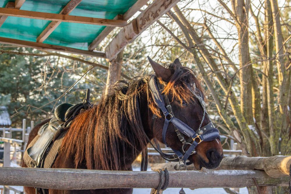 Фотография автора Алина Быстрова