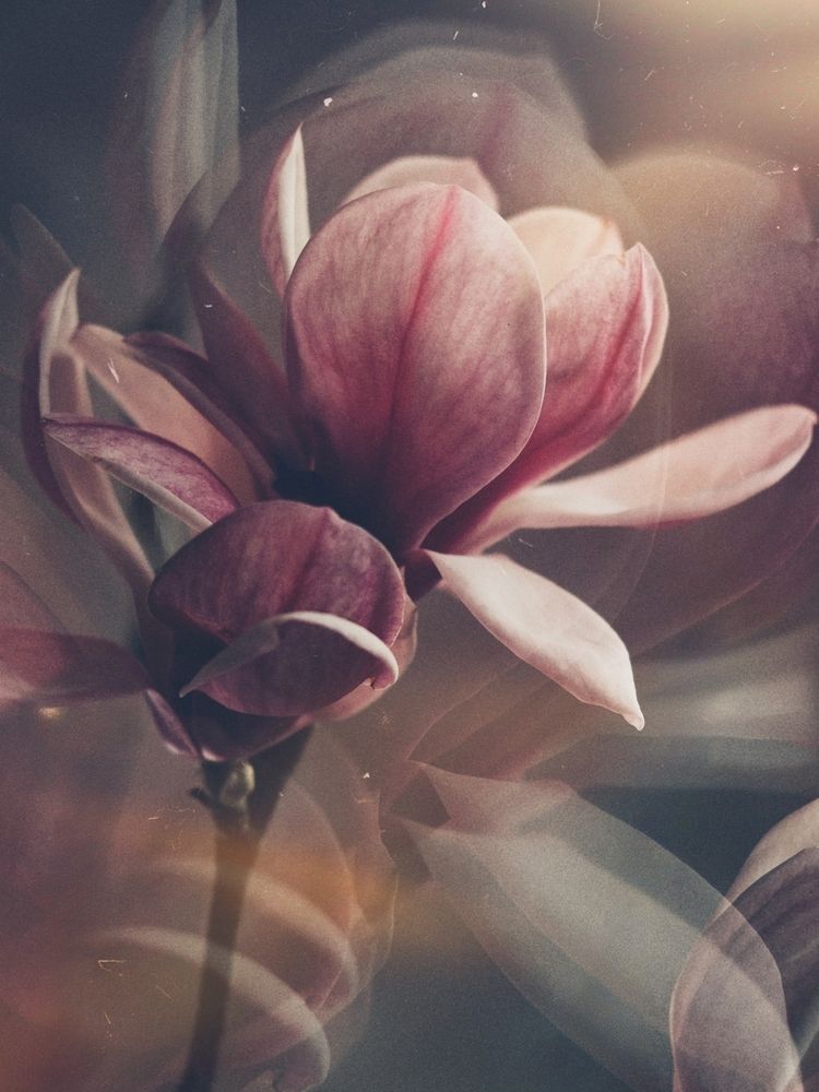 Фотография автора Александра Шилова