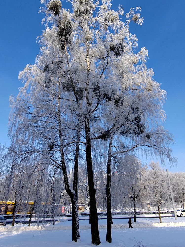 Фотография автора Нестеренко Светлана