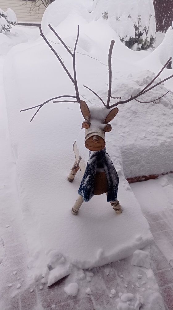 Фотография автора Костя