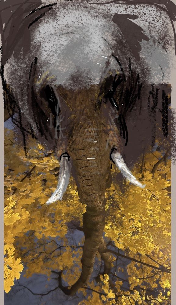 Осенний слон