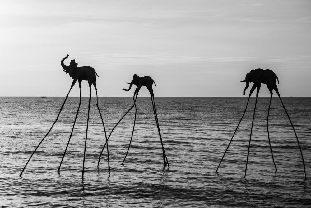 Photograph by Татьяна