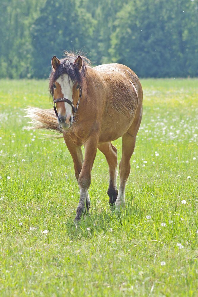 Photograph by Елена Щитова