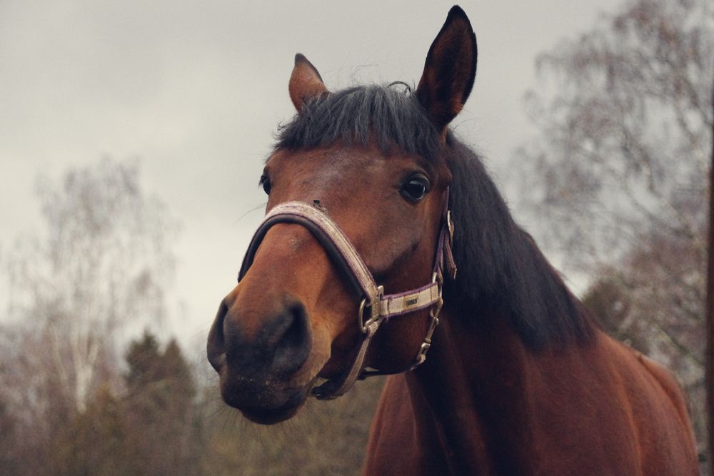 Photograph by Елена Щитова