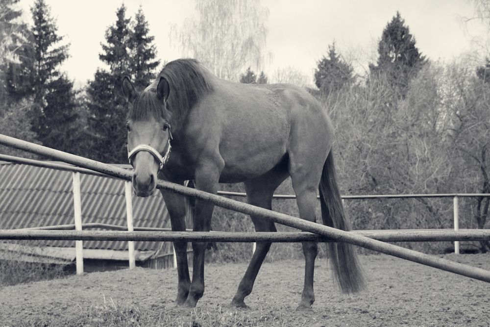 Photograph by Елена Щитова