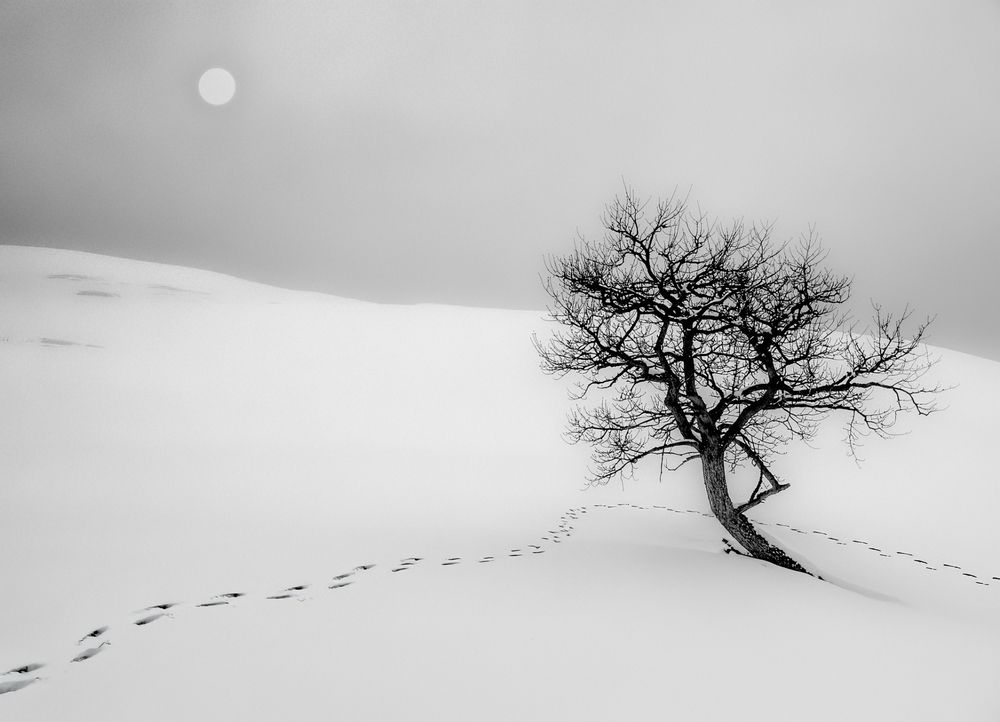 Photograph by Юрий Левко