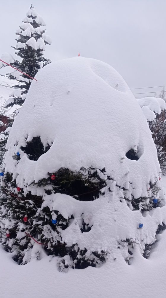 Фотография автора Костя