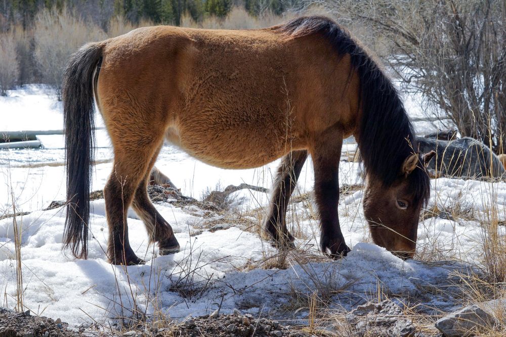 Photograph by Ольга Лукьянова