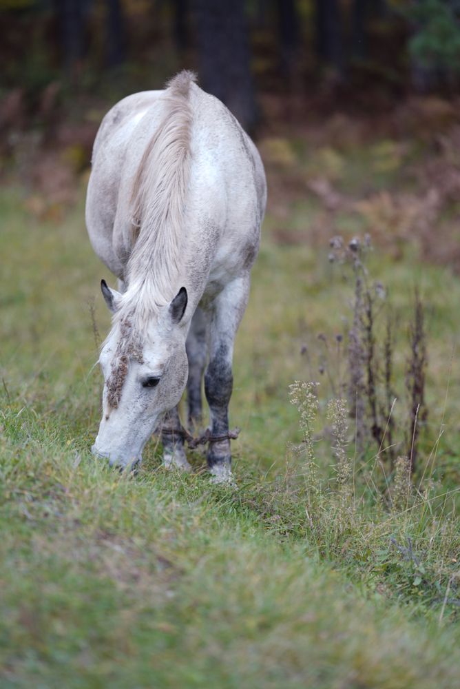 Photograph by Ольга Лукьянова