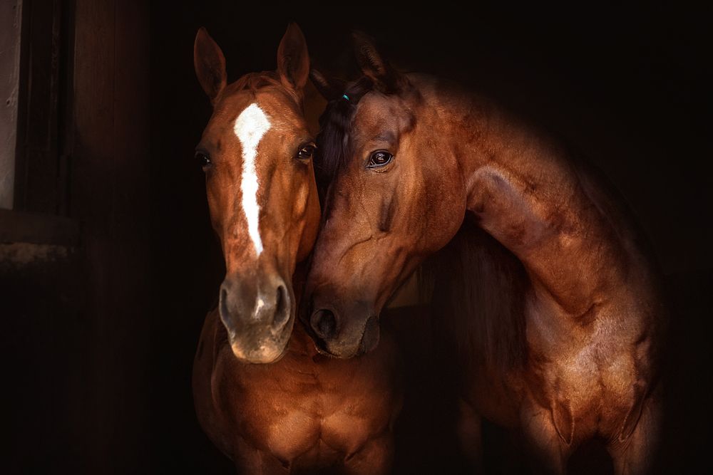 Photograph by Оля Ветрова