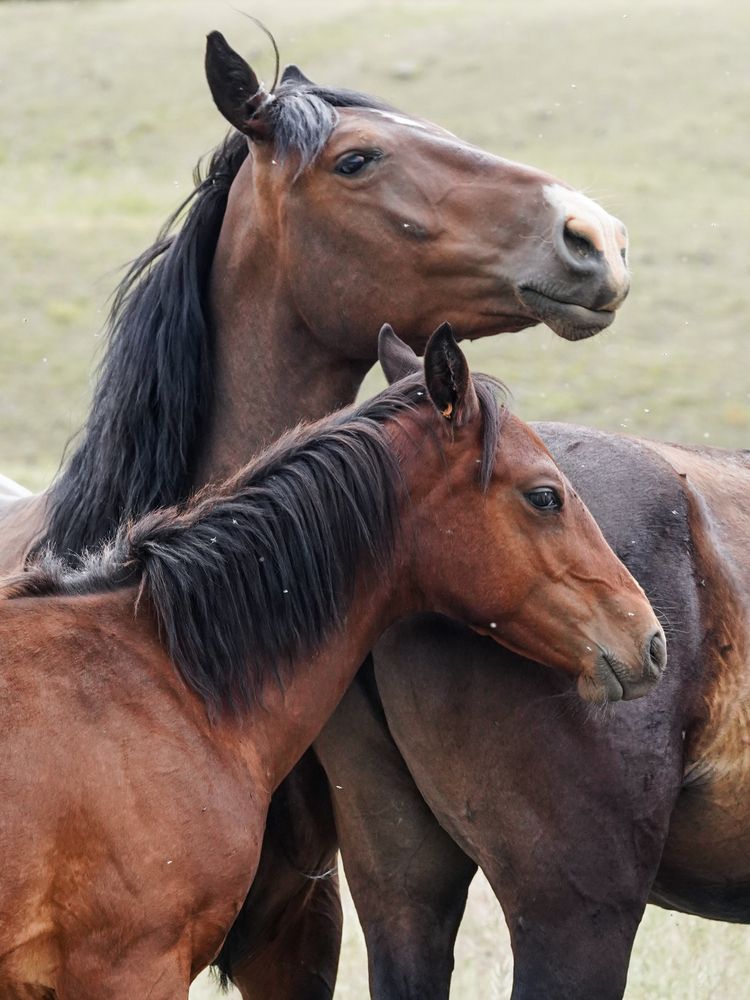 Photograph by Ольга Лукьянова