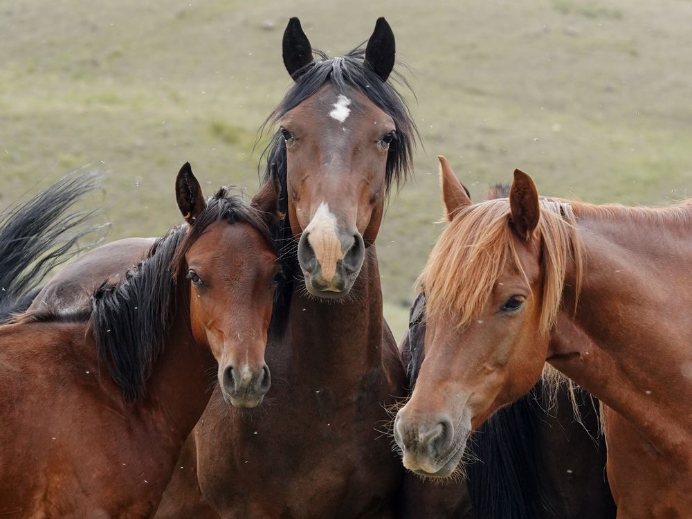 Photograph by Ольга Лукьянова