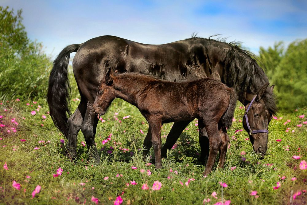 Photograph by Оля Ветрова