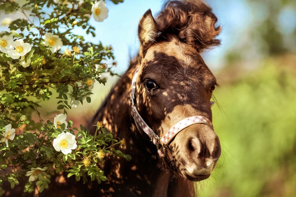 Photograph by Оля Ветрова