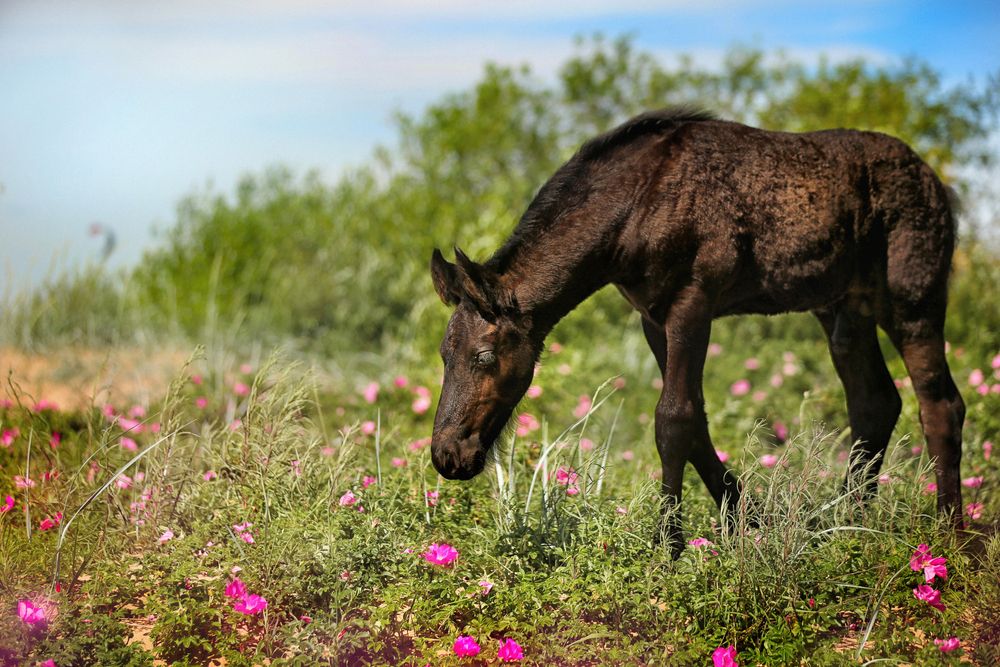 Photograph by Оля Ветрова