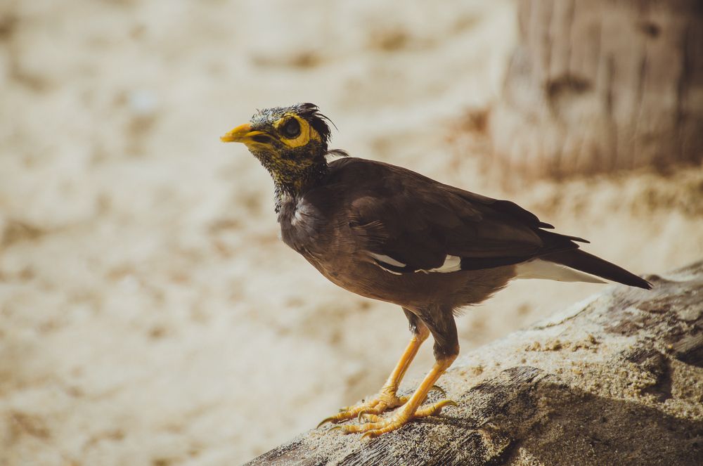 Photograph by Юлия Подлеснова