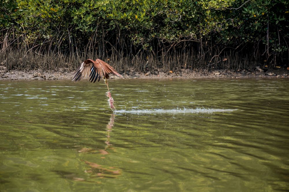 Photograph by Юлия Подлеснова