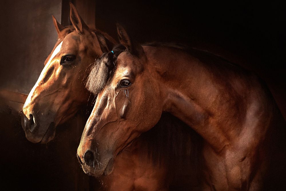 Photograph by Оля Ветрова