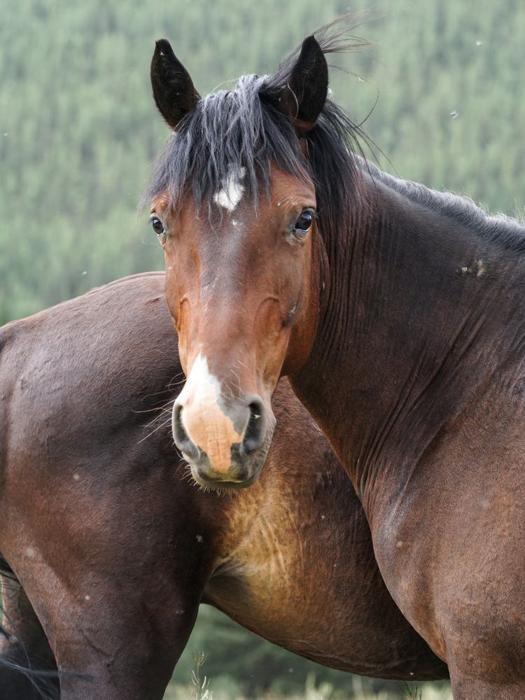 Photograph by Ольга Лукьянова