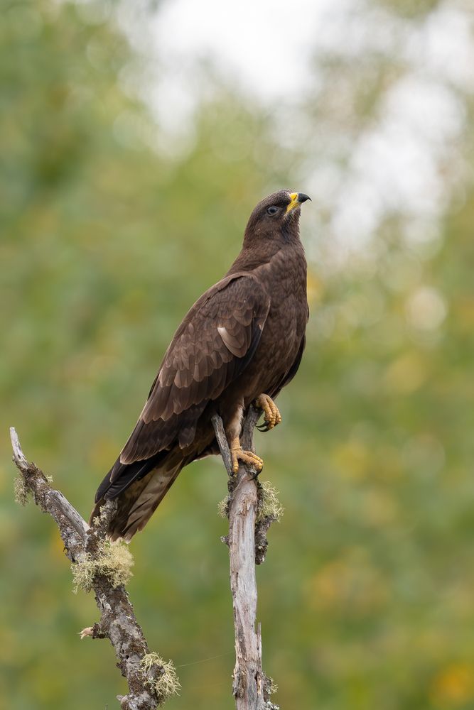 Photograph by Альварис Сукманюк