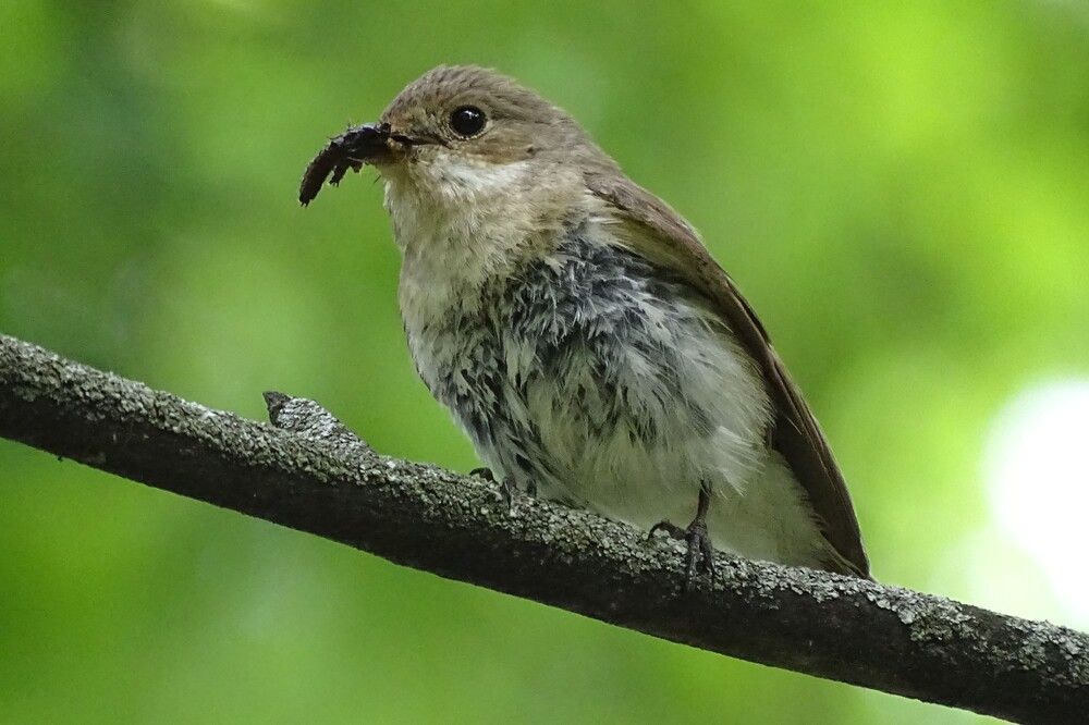 Photograph by Станислав Карташов